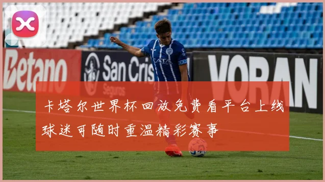 卡塔尔世界杯回放免费看平台上线球迷可随时重温精彩赛事